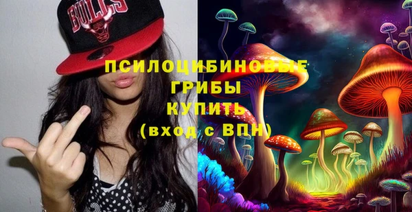 Альфа ПВП Елизово